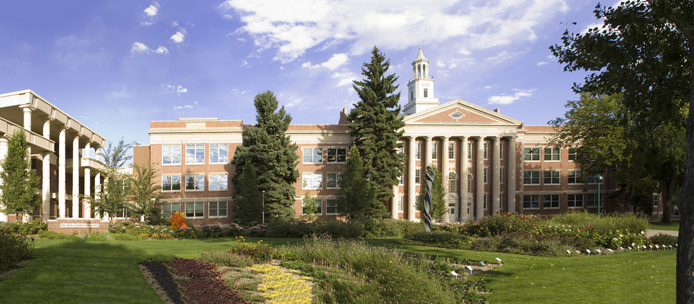 university center for the arts